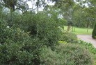Woodburn NSWresidential-landscaping-35.jpg; ?>