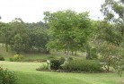 Woodburn NSWresidential-landscaping-40.jpg; ?>